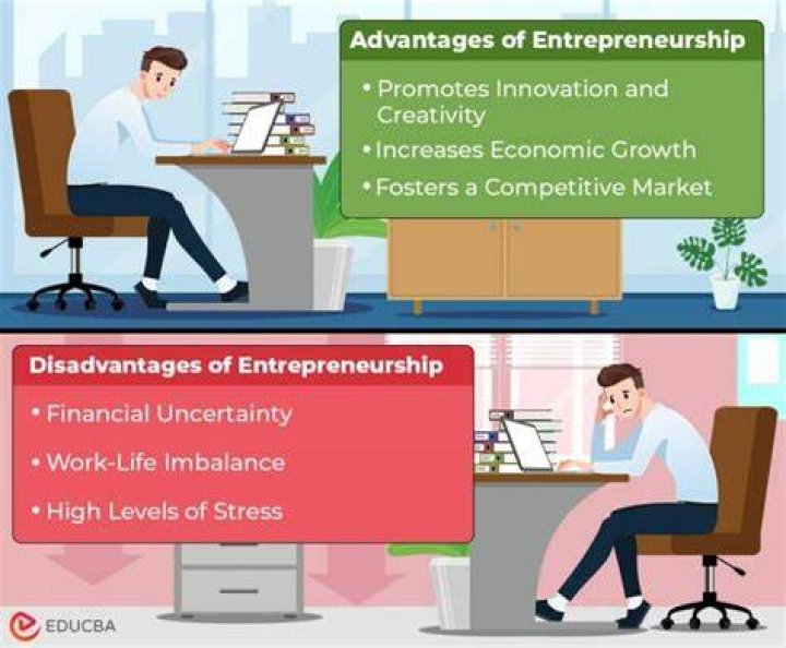 What are the disadvantages of entrepreneur as a career?