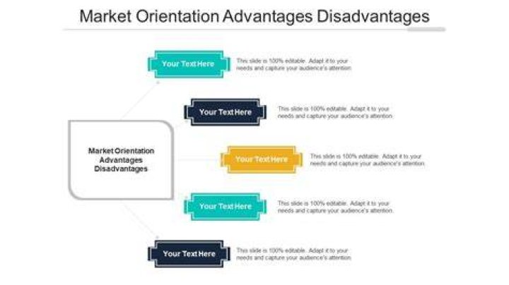What are the disadvantages of marketing orientation?