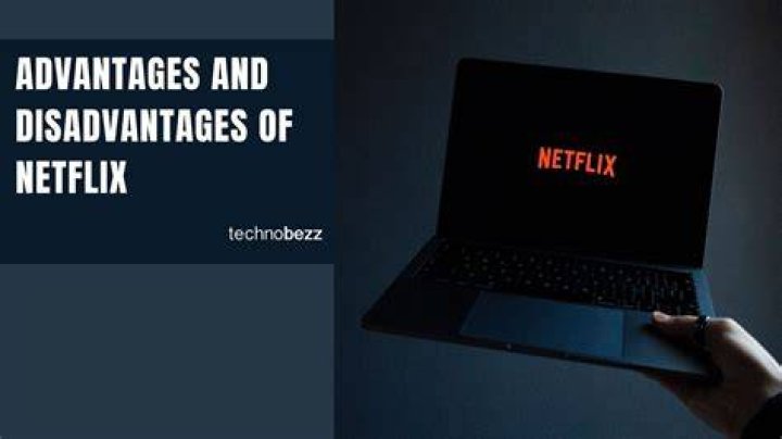 What are the disadvantages of Netflix?