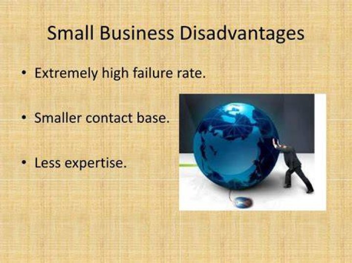 What are the disadvantages of small firms?