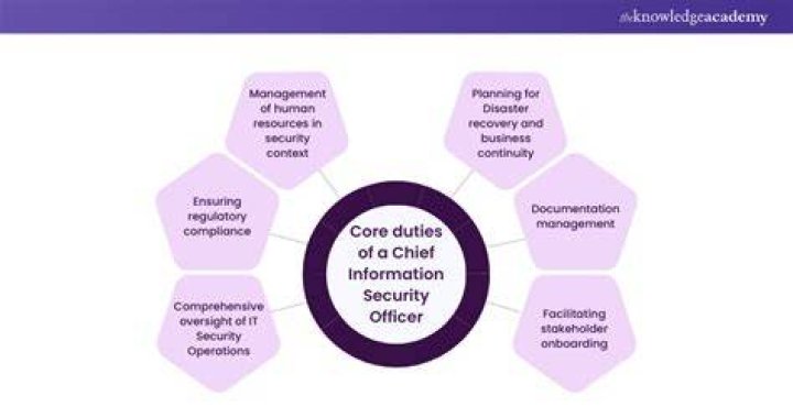 What are the duties of a chief information officer?
