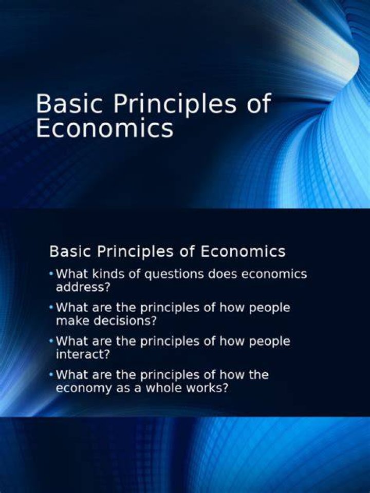 What are the economic principles of managers?