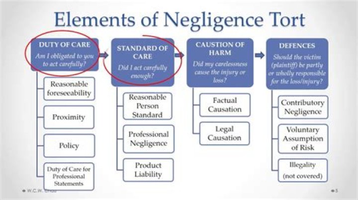 What are the elements of negligence per se?
