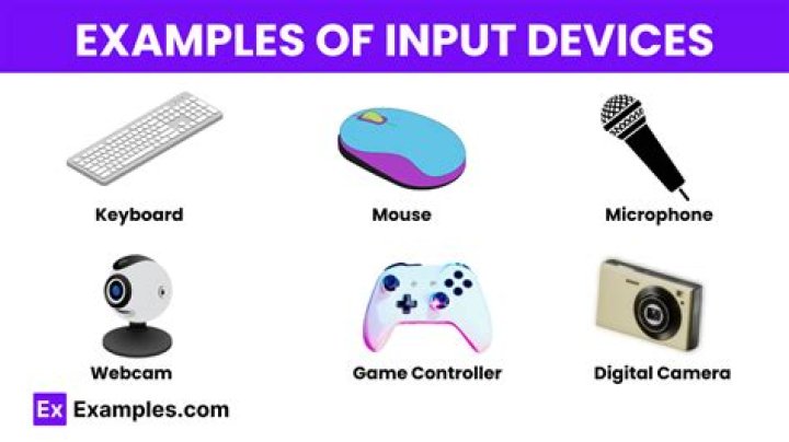 What are the examples of input?