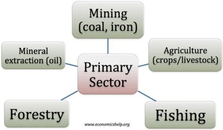 What are the examples of primary products?