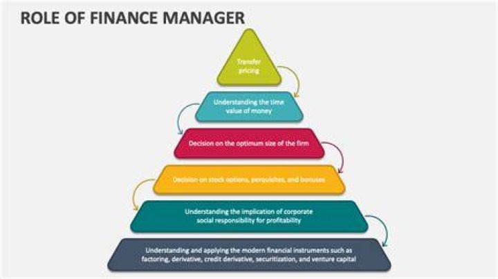 What are the Finance Manager responsibilities?