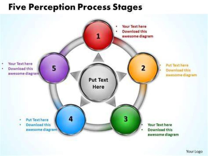 What are the five steps of perception checking?