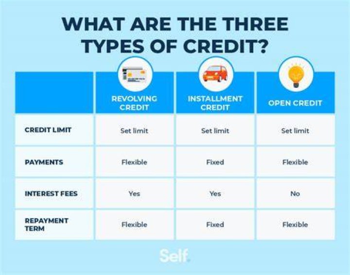 What are the four main types of consumer credit?