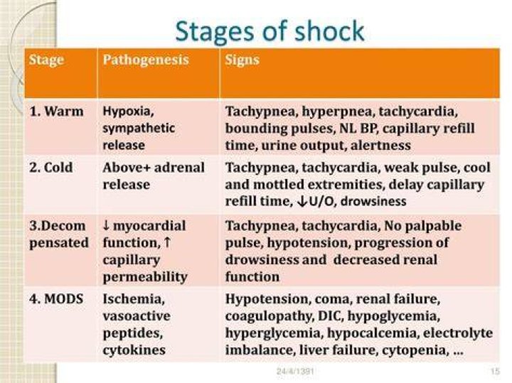 What are the four stages of shock?