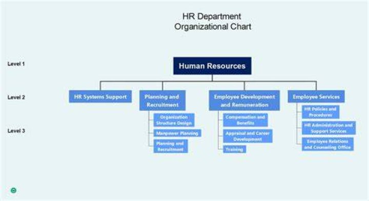 What are the functional roles of the human resource department?