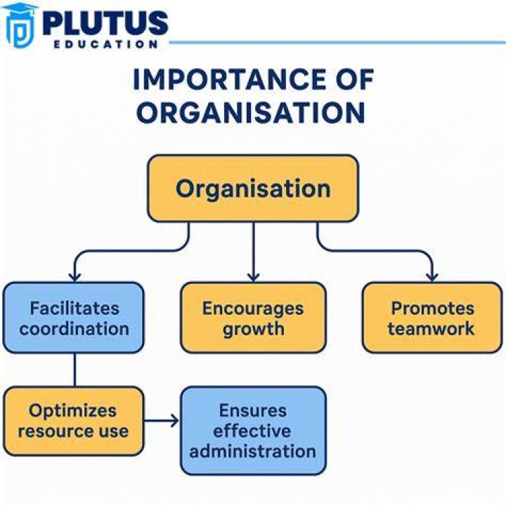 What are the functions and importance of organization?