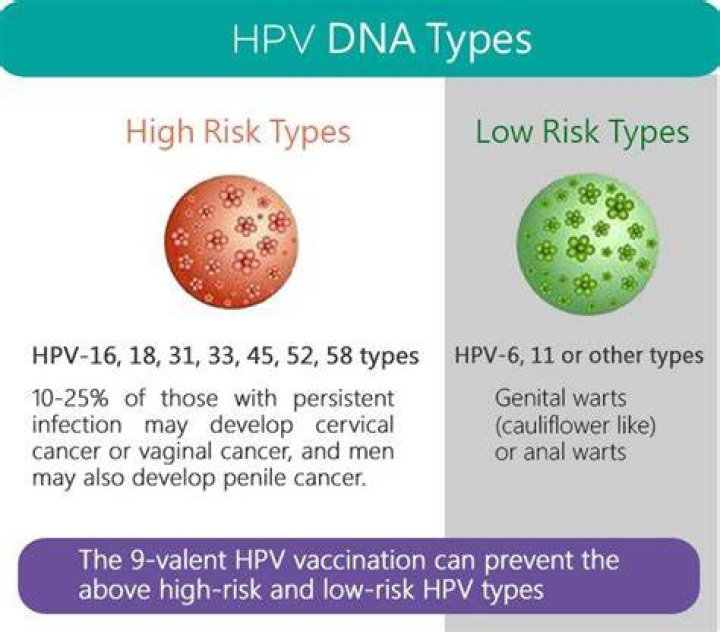 What are the high-risk HPV types?