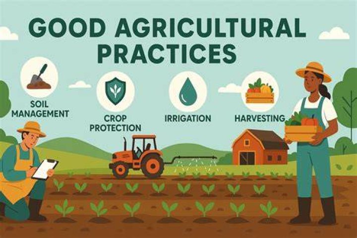 What are the importance of good agricultural practices?