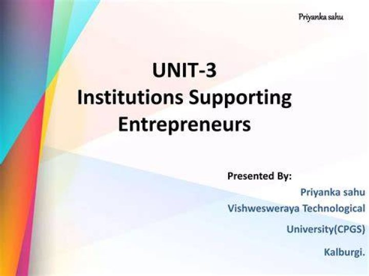 What are the institutions supporting entrepreneurs?