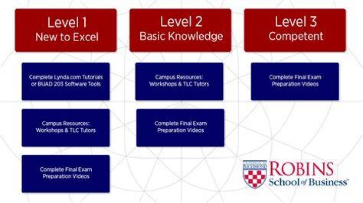 What are the levels of proficiency in Excel?