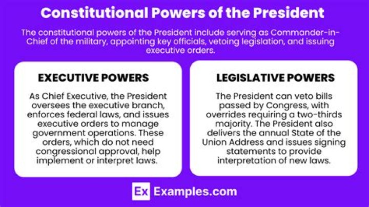 What are the limits on the powers of the president?