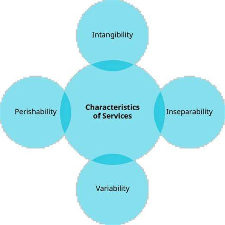 What are the main characteristics of the intangibility of services?