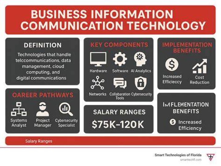 What are the major applications of information technology in business?