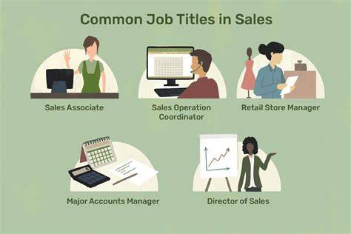 What are the major types of Sales job?