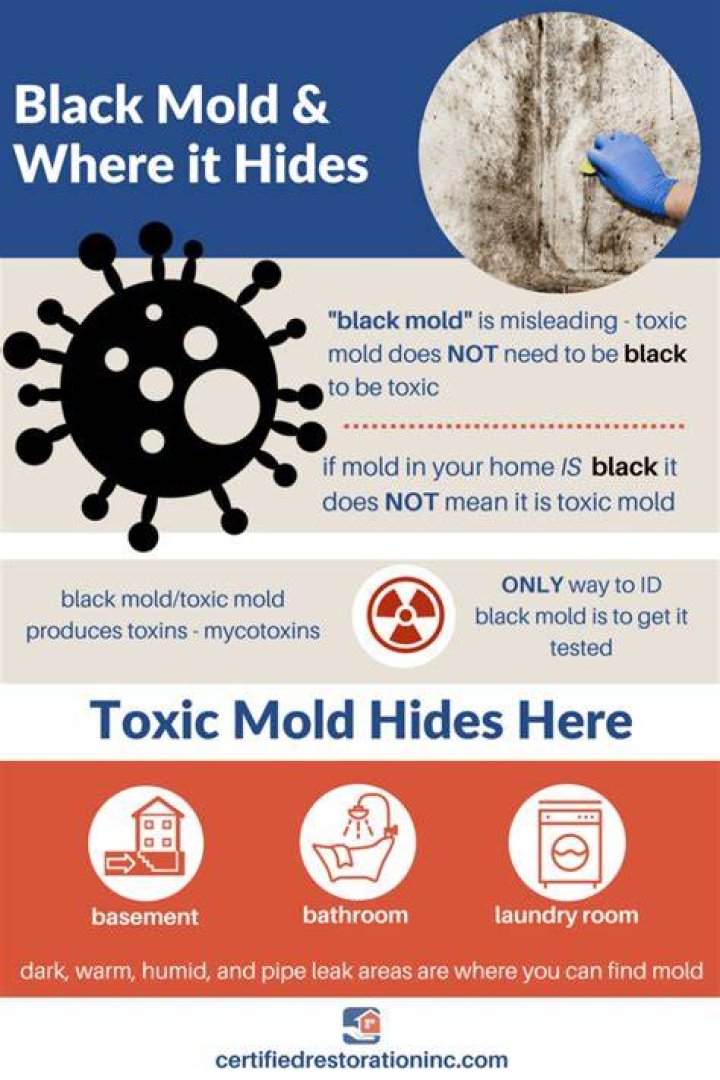 What are the mental effects of black mold?