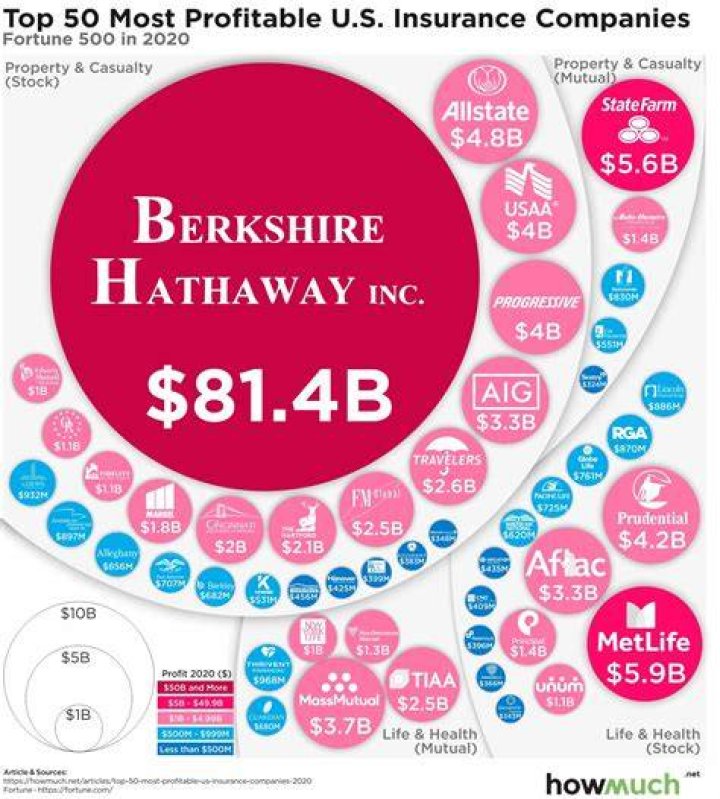 What are the most profitable health insurance companies?