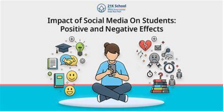 What are the negative effects of K-12?