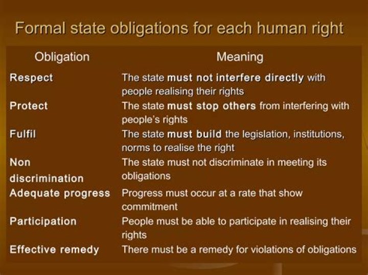 What are the obligation of human rights?