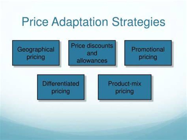 What are the price adaptation strategies?