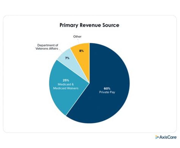 What are the primary sources of revenue for health care?