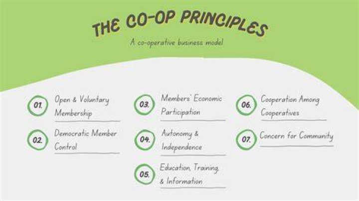 What are the principles required to be a co op business?