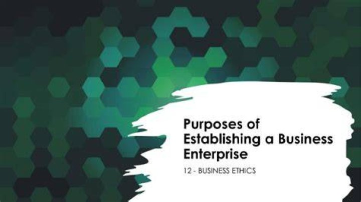 What are the problems in establishing business enterprise?