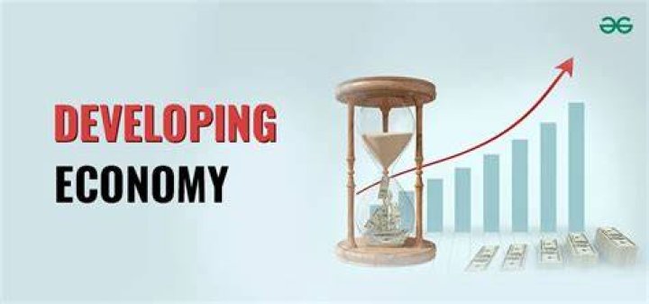 What are the problems of developing economies?