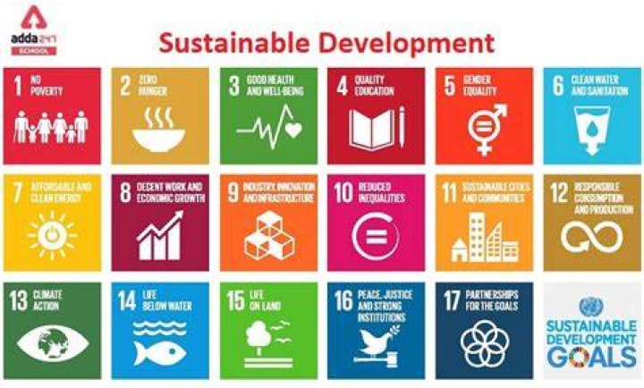 What are the problems with sustainable development class 10?