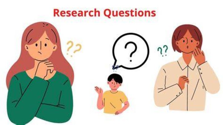 What are the research questions used by the researchers?