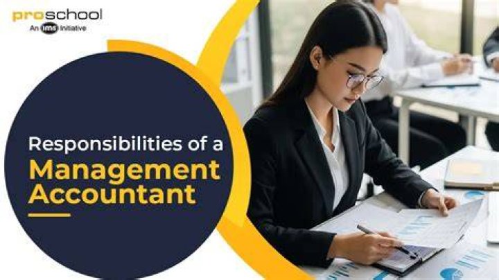 What are the responsibilities of a management accountant?