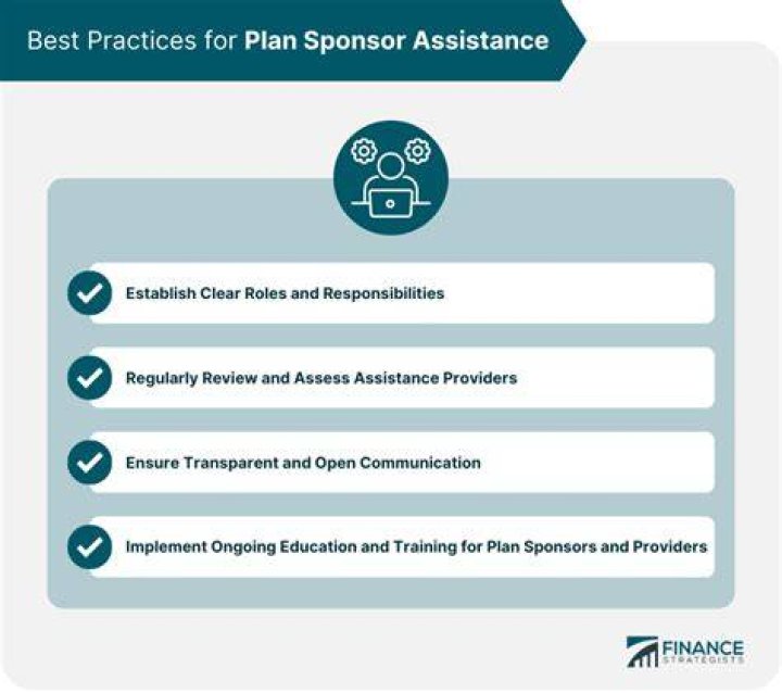 What are the responsibilities of the plan sponsor?