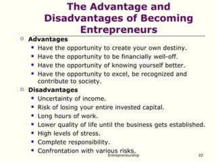What are the risk and disadvantages of becoming an entrepreneur?