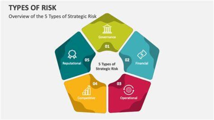 What are the risk risk types?