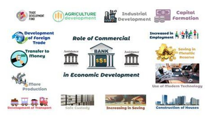 What are the role of Business Economics?