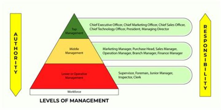 What are the roles of computer at different levels of management?