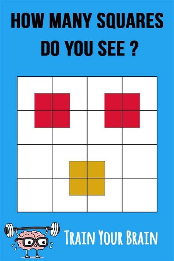 What are the squares you see from a plane?