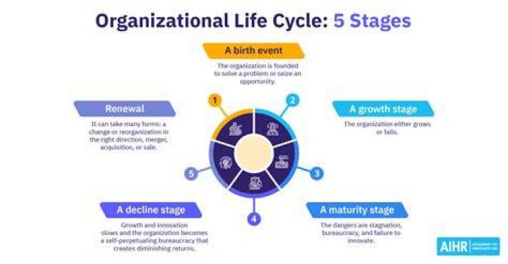 What are the stages of organization?
