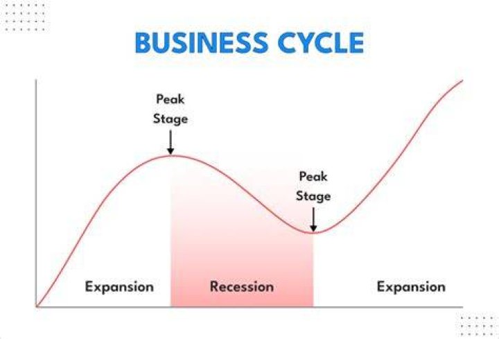 What are the stages of the business cycle?