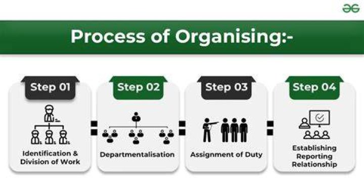 What are the steps of organizing?