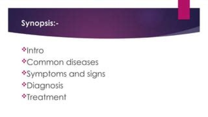 What are the symptoms of synopsis?
