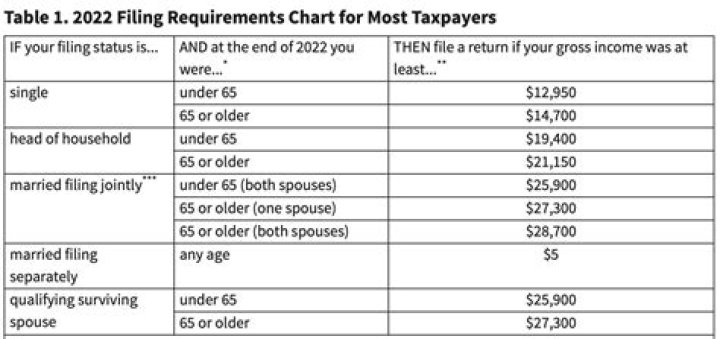 What are the tax filing requirements for children?