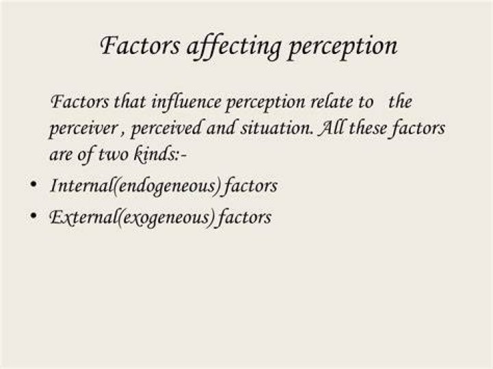 What are the three main factors affecting perception?