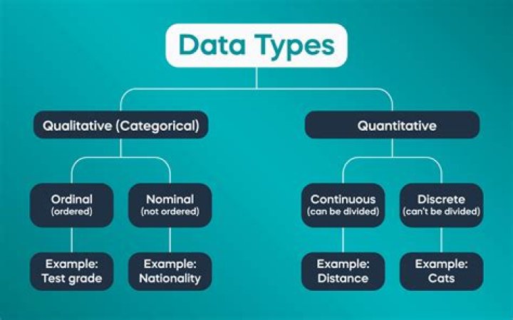 What are the three types of data?