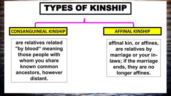 What are the three types of kinship provided by relatives care?