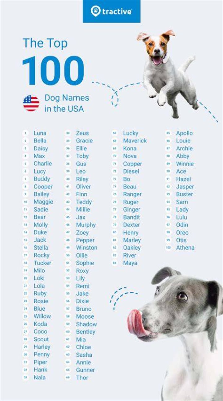 What are the top 10 dog names?